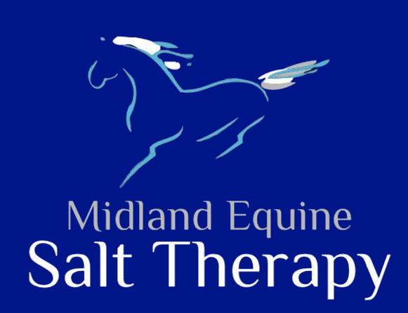 Midland Equine Salt Therapy